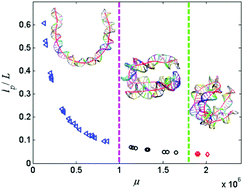 Graphical abstract: Modulation of DNA conformation in electrolytic nanodroplets