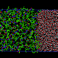 Graphical abstract: Molecular dynamics of liquid–liquid equilibrium and interfacial properties of aqueous solutions of methyl esters