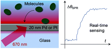 Graphical abstract: Surface plasmon resonance sensing with thin films of palladium and platinum – quantitative and real-time analysis