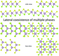 Graphical abstract: First principles assessment of the phase stability and transition mechanisms of designated crystal structures of pristine and Janus transition metal dichalcogenides