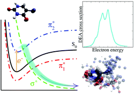 Graphical abstract: Dissociative electron attachment to 5-bromo-uracil: non-adiabatic dynamics on complex-valued potential energy surfaces