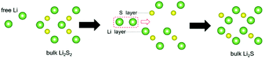 Graphical abstract: Computational screening of functionalized MXenes to catalyze the solid and non-solid conversion reactions in cathodes of lithium–sulfur batteries