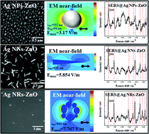 Graphical abstract: Silver nanoparticles, nanoneedles and nanorings: impact of electromagnetic near-field on surface-enhanced Raman scattering