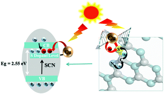 Graphical abstract: Optimized hot electron injection from Cu nanoparticles to S-doped C3N4 by the formed S–Cu bonds for an enhanced photocatalytic performance
