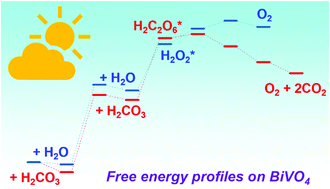 Graphical abstract: Insights into the carbonate effect on water oxidation over metal oxide photocatalysts/photoanodes