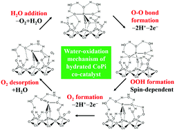 Graphical abstract: Water–oxidation mechanism of cobalt phosphate co-catalyst in artificial photosynthesis: a theoretical study