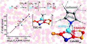 Graphical abstract: Property–activity relations of multifunctional reactive ensembles in cation-exchanged zeolites: a case study of methane activation on Zn2+-modified zeolite BEA