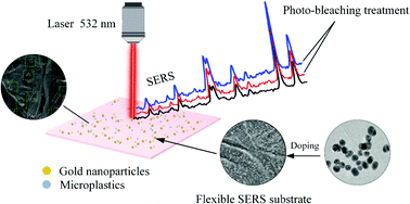 Graphical abstract: A gold nanoparticle doped flexible substrate for microplastics SERS detection