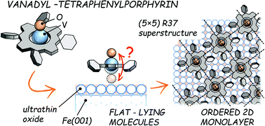 Graphical abstract: Ordered assembly of non-planar vanadyl-tetraphenylporphyrins on ultra-thin iron oxide