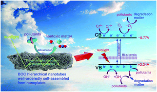 Graphical abstract: Template-free synthesis of Bi2O2CO3 hierarchical nanotubes self-assembled from ordered nanoplates for promising photocatalytic applications