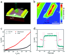 Graphical abstract: Surface plasmon enhancement in different spatial distributions of nanowires and two-dimensional materials