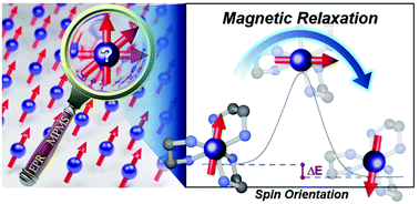 Graphical abstract: A reaction-coordinate perspective of magnetic relaxation