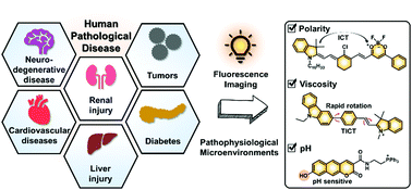 Graphical abstract: Fluorescence imaging of pathophysiological microenvironments