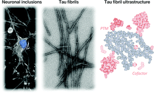 Graphical abstract: Revisiting the grammar of Tau aggregation and pathology formation: how new insights from brain pathology are shaping how we study and target Tauopathies