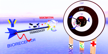 Graphical abstract: Attomolar analyte sensing techniques (AttoSens): a review on a decade of progress on chemical and biosensing nanoplatforms