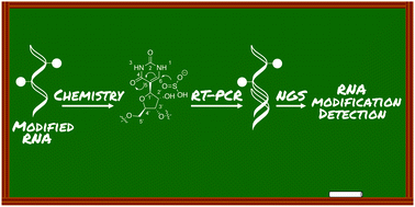 Graphical abstract: Arrow pushing in RNA modification sequencing