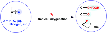 Graphical abstract: Molecular oxygen-mediated oxygenation reactions involving radicals