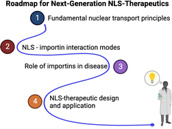 Graphical abstract: Nuclear localization signal-tagged systems: relevant nuclear import principles in the context of current therapeutic design