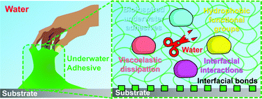Graphical abstract: Design principles for creating synthetic underwater adhesives