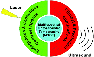 Graphical abstract: Emerging contrast agents for multispectral optoacoustic imaging and their biomedical applications