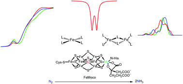 Graphical abstract: Structure, reactivity, and spectroscopy of nitrogenase-related synthetic and biological clusters