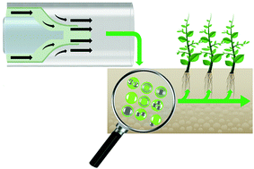 Graphical abstract: Microfluidic encapsulation for controlled release and its potential for nanofertilisers