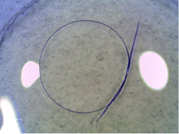 Graphical abstract: Elastically flexible molecular crystals