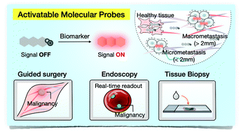 Graphical abstract: Activatable molecular probes for fluorescence-guided surgery, endoscopy and tissue biopsy