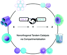 Graphical abstract: Compartmentalisation of molecular catalysts for nonorthogonal tandem catalysis