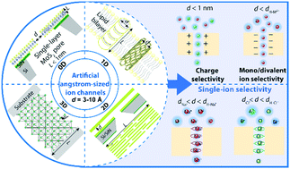 Graphical abstract: Angstrom-scale ion channels towards single-ion selectivity