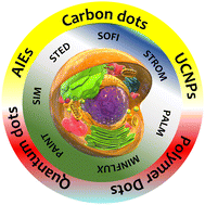 Graphical abstract: Nanoparticles for super-resolution microscopy: intracellular delivery and molecular targeting