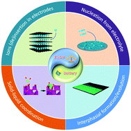 Graphical abstract: From bulk to interface: electrochemical phenomena and mechanism studies in batteries via electrochemical quartz crystal microbalance