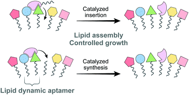Graphical abstract: Dynamic lipid aptamers: non-polymeric chemical path to early life