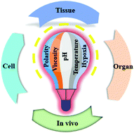 Graphical abstract: Small molecule based fluorescent chemosensors for imaging the microenvironment within specific cellular regions