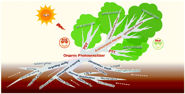 Graphical abstract: Organic photosensitizers for antimicrobial phototherapy