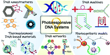 Graphical abstract: Photoresponsive DNA materials and their applications