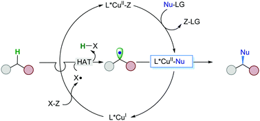Graphical abstract: Copper-catalyzed radical relay in C(sp3)–H functionalization