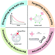 Graphical abstract: Delivery strategies in treatments of leukemia