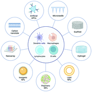 Graphical abstract: Recent advances in biomaterial-boosted adoptive cell therapy