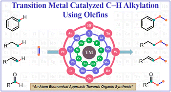 Graphical abstract: Transition-metal-catalyzed C–H bond alkylation using olefins: recent advances and mechanistic aspects