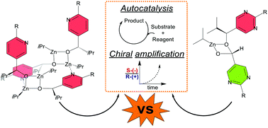 Graphical abstract: One Soai reaction, two mechanisms?