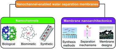 Graphical abstract: The coming of age of water channels for separation membranes: from biological to biomimetic to synthetic
