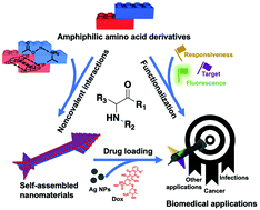 Graphical abstract: Self-assembly of amphiphilic amino acid derivatives for biomedical applications