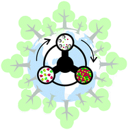 Graphical abstract: The mechanochemical synthesis of polymers