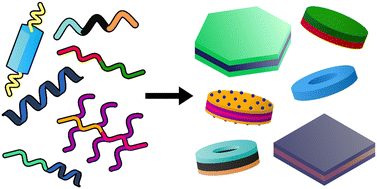 Graphical abstract: Nanoscale polymer discs, toroids and platelets: a survey of their syntheses and potential applications