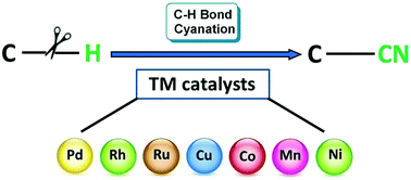 Graphical abstract: Directing group strategies in catalytic sp2 C–H cyanations: scope, mechanism and limitations