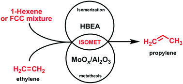 Graphical abstract: Propylene synthesis via isomerization–metathesis of 1-hexene and FCC olefins