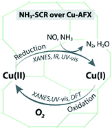 Graphical abstract: Selective catalytic reduction of NO over Cu-AFX zeolites: mechanistic insights from in situ/operando spectroscopic and DFT studies
