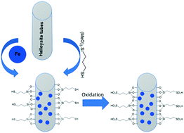 Graphical abstract: Surface modified novel magnetically tuned halloysite functionalized sulfonic acid: synthesis, characterization and catalytic activity