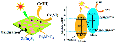 Graphical abstract: In situ construction of a 2D/2D heterostructured ZnIn2S4/Bi2MoO6Z-scheme system for boosting the photoreduction activity of Cr(vi)